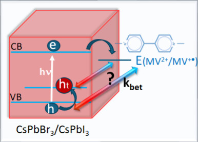 Hole Trapping in Lead Halide Perovskite Nanocrystal–Viologen Hybrids and Its Impact on Back Electron Transfer